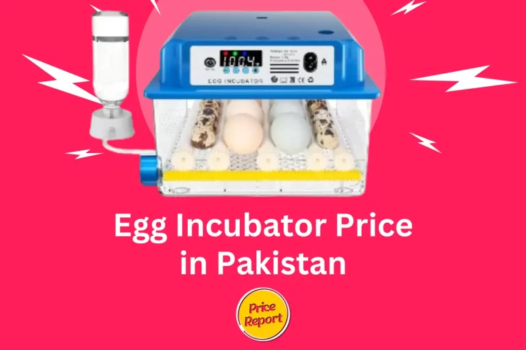 Egg Incubator Price in Pakistan