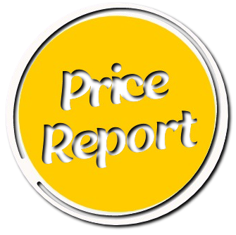 PriceReport Logo